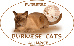 logo_burmesen_cats3.gif