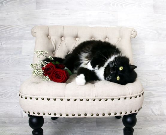 Cleopatra